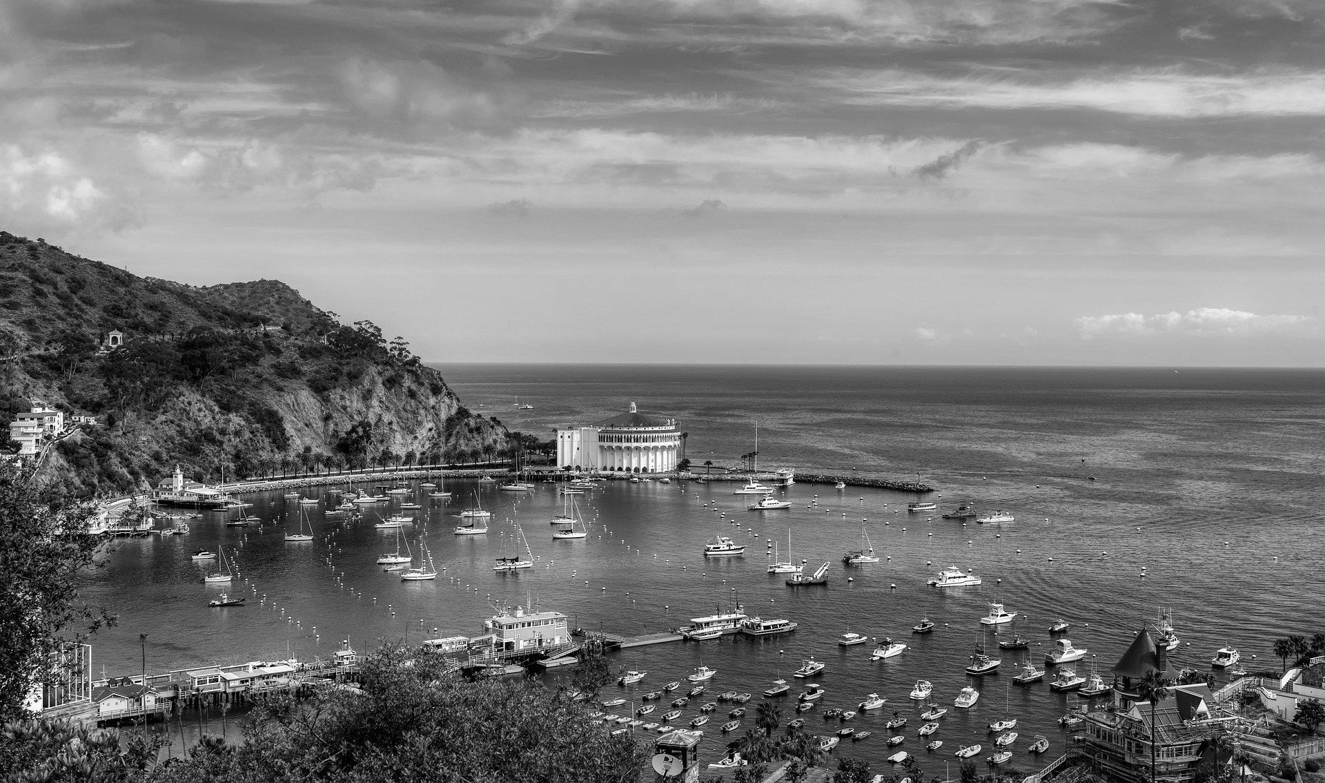 Catalina Island: Exploring the Beauty of Avalon in a Day | The Conscious Publicist